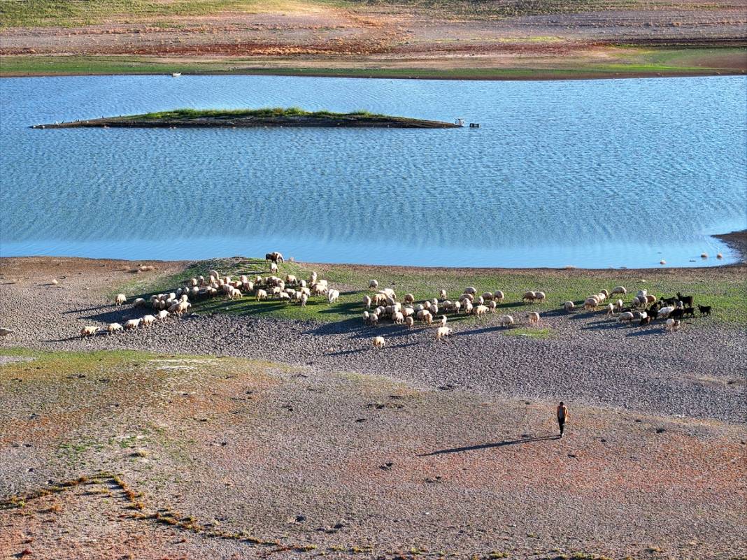 Rakamlar hiç bu kadar korkutmamıştı! Konya çölleşiyor 13